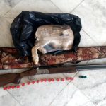 رئیس اداره محیط زیست شهرستان ابهر خبر داد: دستگیری ۳ شکارچی متخلف غیربومی در سلطانیه