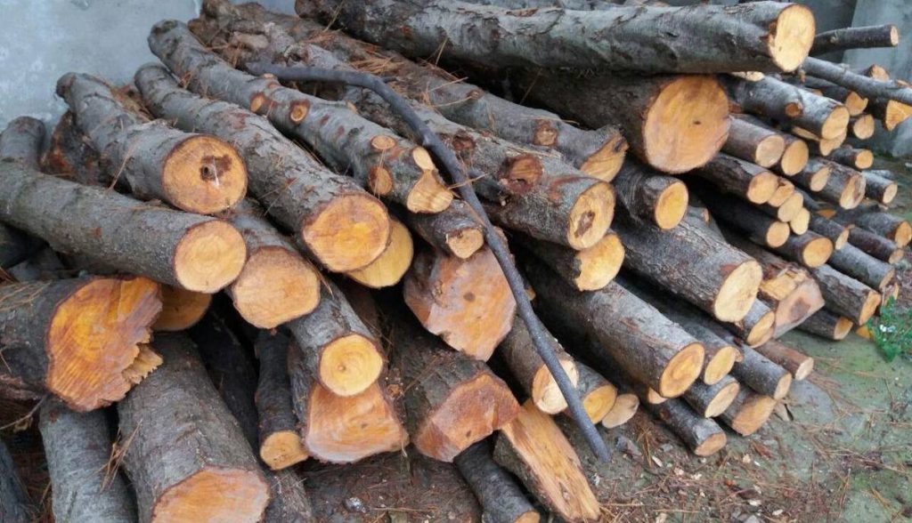 کشف ۱۱ تن چوب قاچاق در ابهر