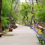 محبوب‌ترین پارک شمال تهران
